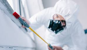 Best Pest Prevention Services  in Grosse Pointe, MI